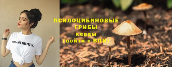 ALPHA-PVP Куйбышев