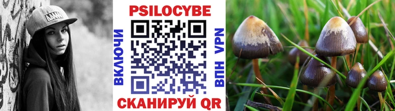Галлюциногенные грибы GOLDEN TEACHER Электросталь