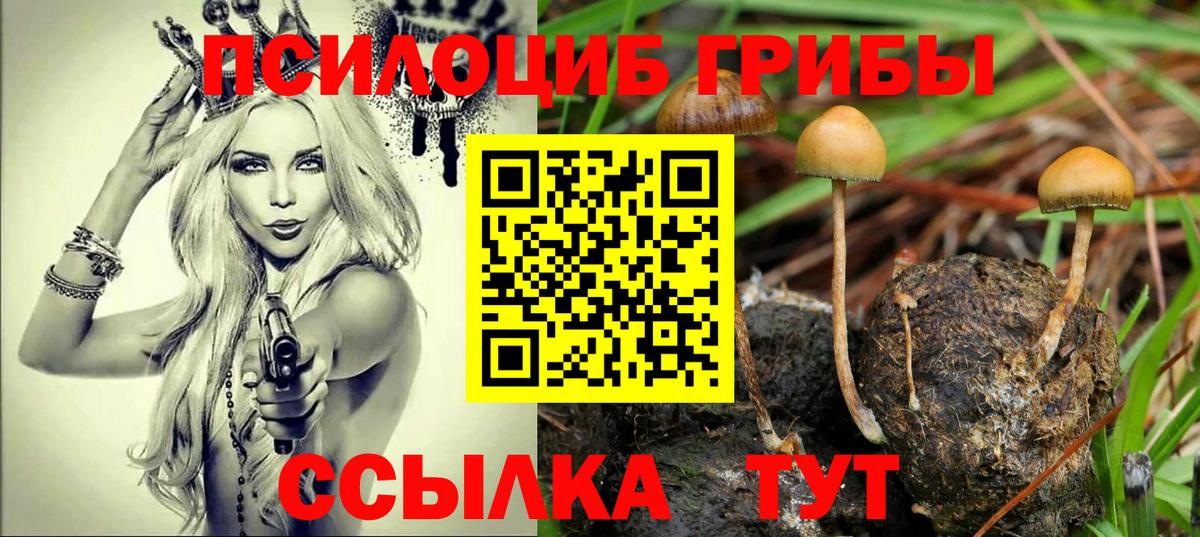 Псилоцибиновые грибы MAGIC MUSHROOMS Электросталь